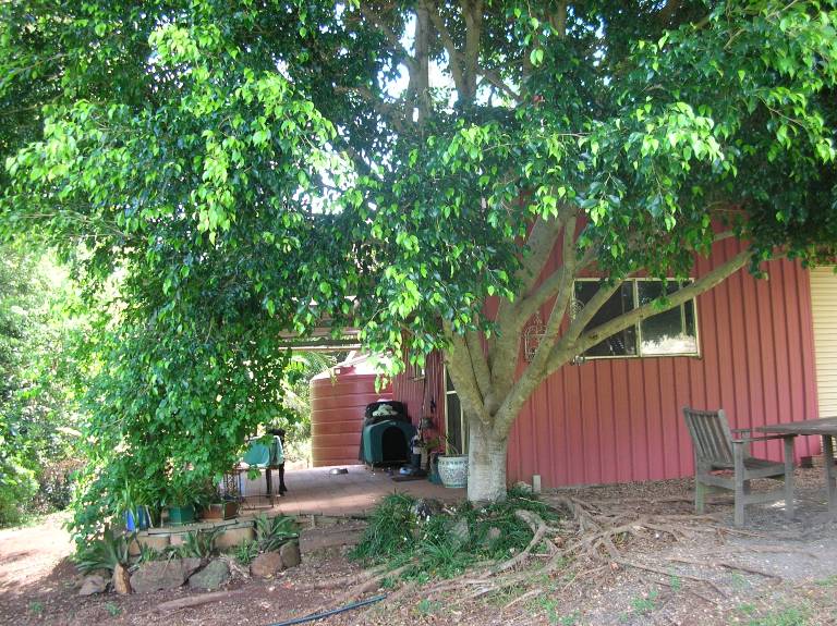 ELTHAM FARMLET Picture 2