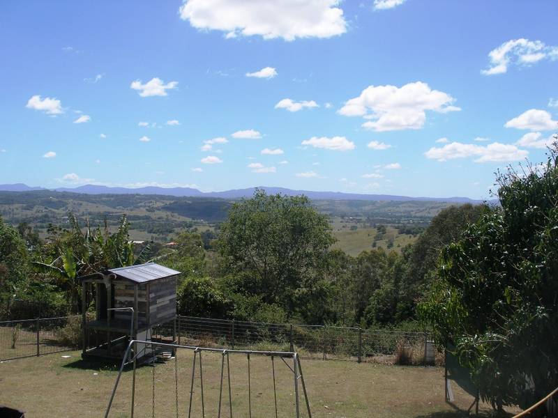 POTENTIAL PLUS! Picture 2