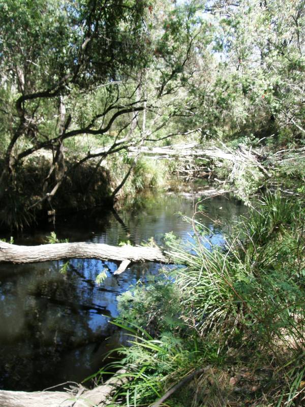 LISTEN TO THE PEACE. Picture 3