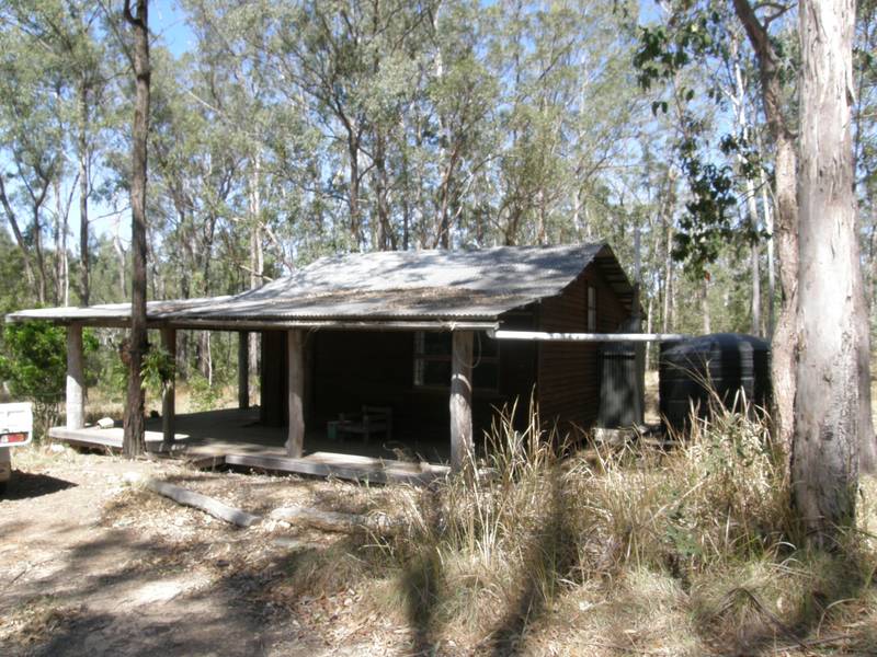 LISTEN TO THE PEACE. Picture 2