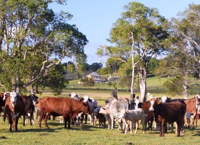 FARMERS QUALITY OF LIFE Picture