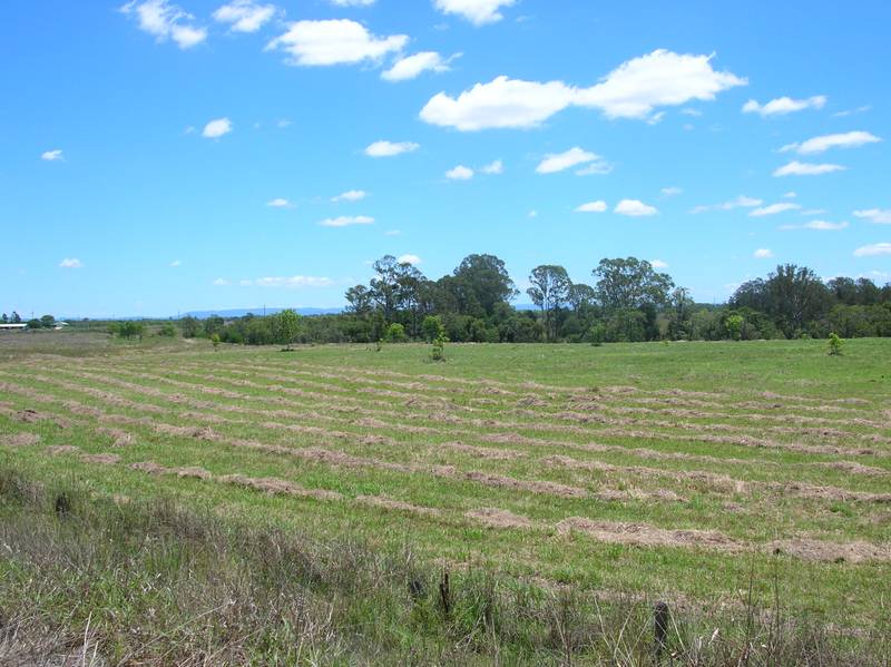 CLOVASS COUNTRY Picture 2