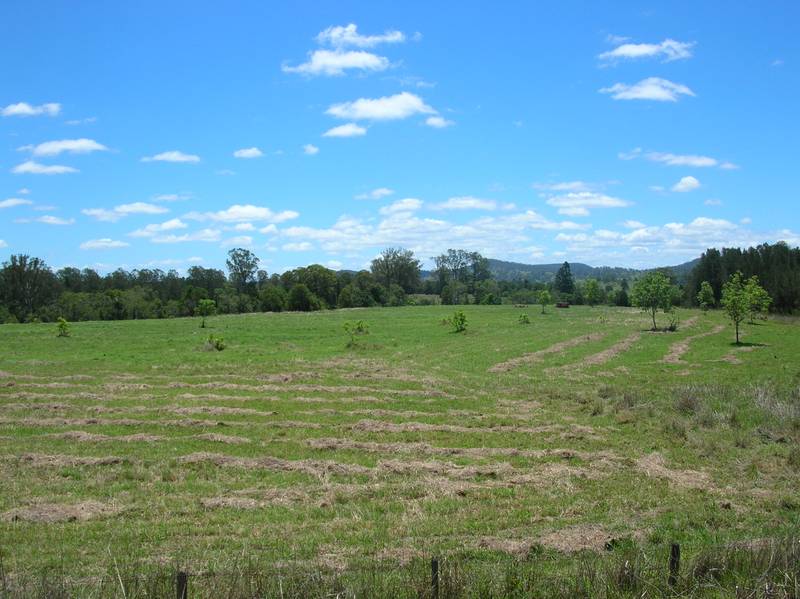 CLOVASS COUNTRY Picture 1