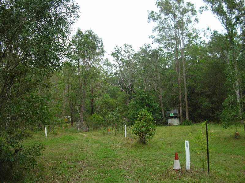 TREE CHANGE Picture 3