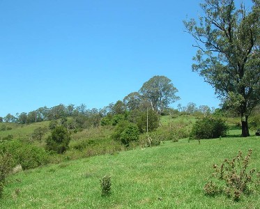 RURAL ESCAPE Picture