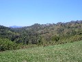 RURAL ESCAPE Picture