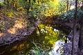 'LEYCESTER PARK' Picture