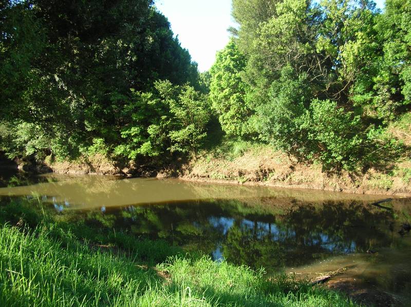 ELTHAM VALLEY Picture 2