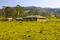 GRAZING, CREEK & HOME SWEET HOME Picture