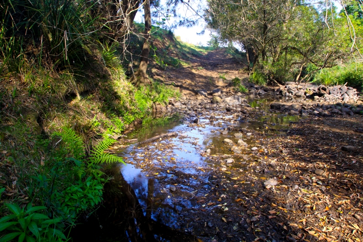 GRAZING, CREEK & HOME SWEET HOME Picture 2