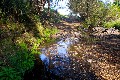 GRAZING, CREEK & HOME SWEET HOME Picture