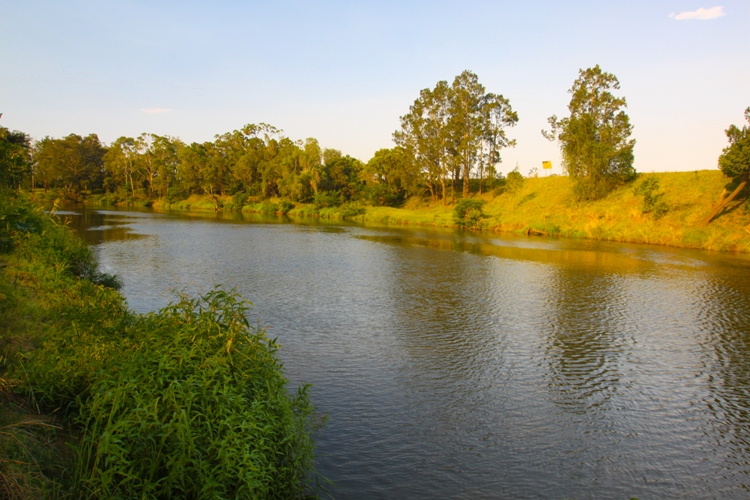 COUNRTY LIFE BY THE RIVER Picture 1