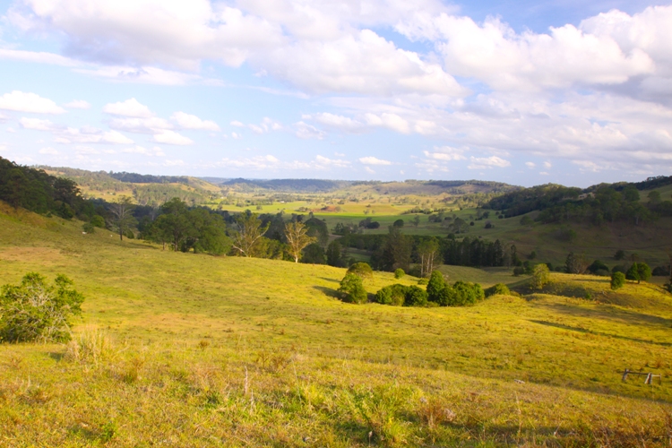 PRIME VALLEY GRAZING Picture 1