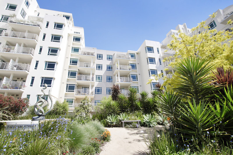 Simply Brilliant Picture 2