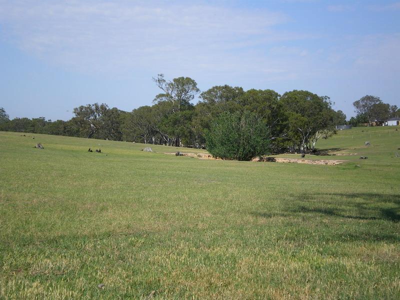 113 Acres Close to Maffra Picture 2