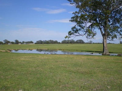 113 Acres Close to Maffra Picture