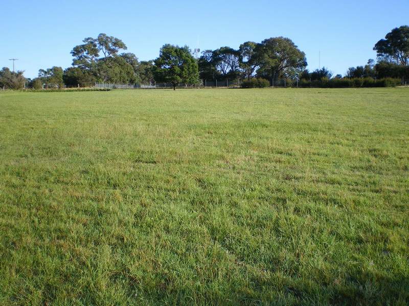 2 Acre Building Site Picture 1