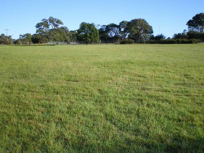 2 Acre Building Site Picture