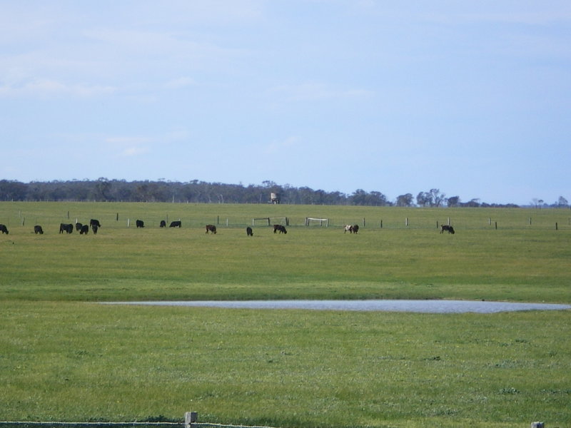 638 Acres with amazing views Picture 3