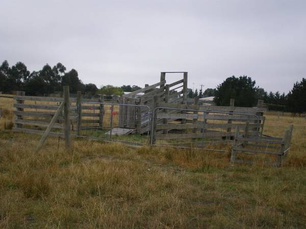 10 Acre Building Site Picture