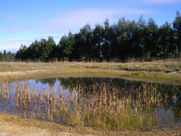 10 Acre Building Site Picture