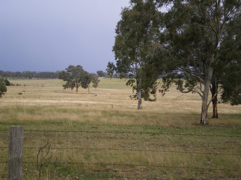 Lifestyle Or Turnout! Picture 2