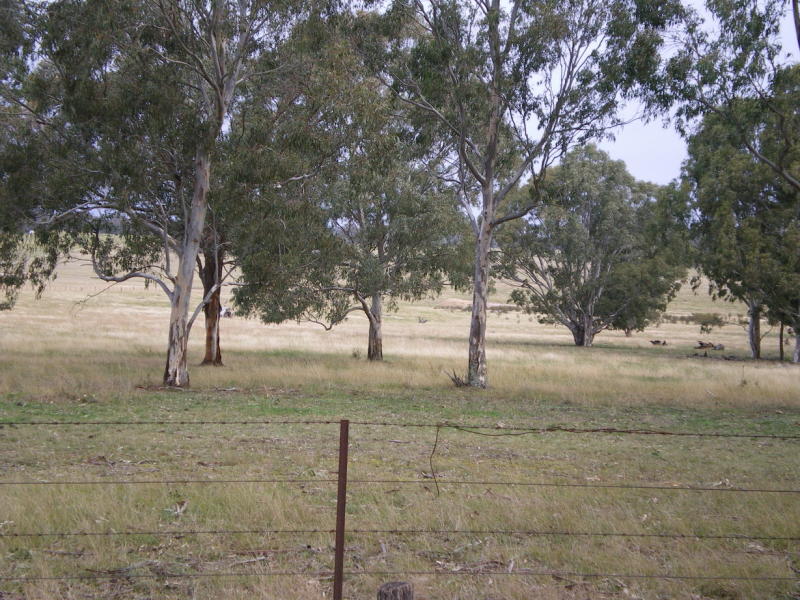 Lifestyle Or Turnout! Picture 1