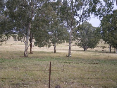 Lifestyle Or Turnout! Picture