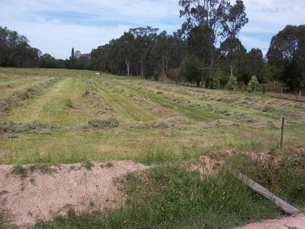 Lifestyle Property With River Frontage Picture Lifestyle Property With River Frontage Picture