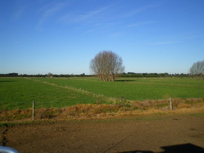 Prime Irrigation Land On The Golden Mile Picture