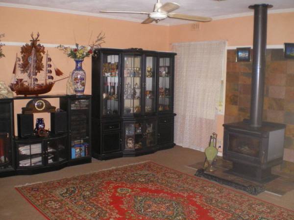 Solid Starter Or Investment Picture