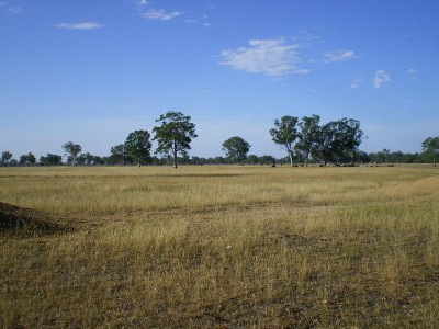 Your Own Piece Of Australia Picture