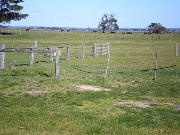 Well Established Irrigation Farm Picture 3