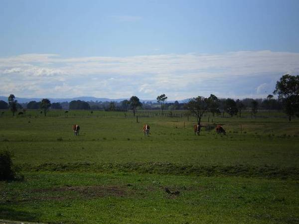 Well Established Irrigation Farm Picture 2