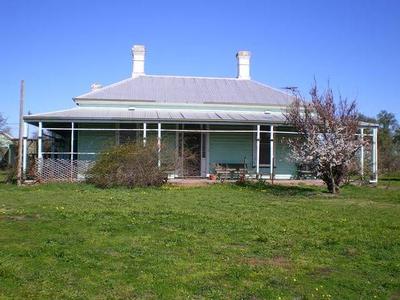 Well Established Irrigation Farm Picture