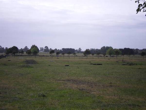 A Little Lifestyle Gem Picture