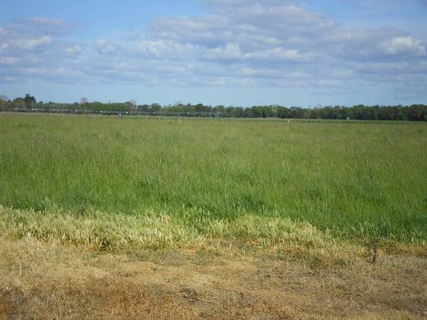 Prime Irrigation Land Picture 2