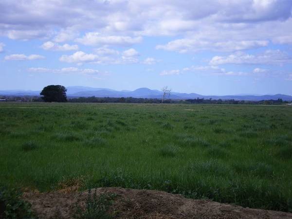 Prime Irrigation Land Picture 1