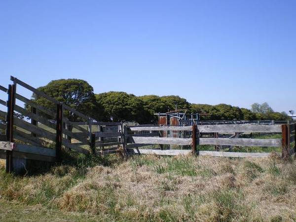 TURNOUT OR LIFESTYLE PROPERTY Picture