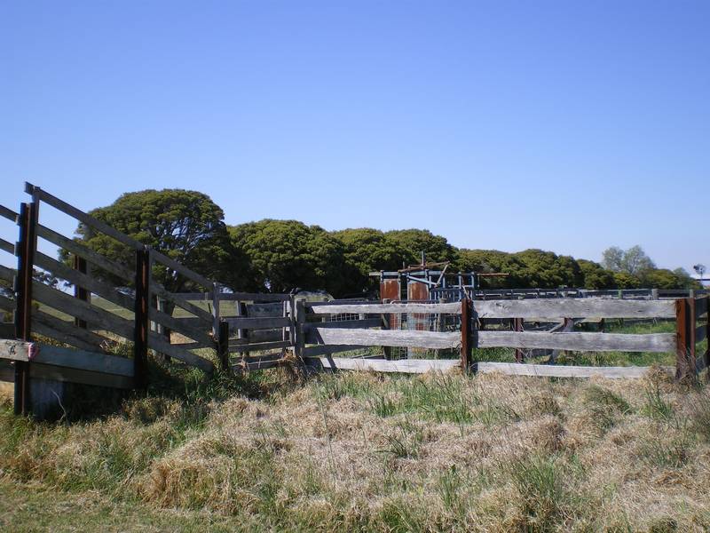 TURNOUT OR LIFESTYLE PROPERTY Picture 3