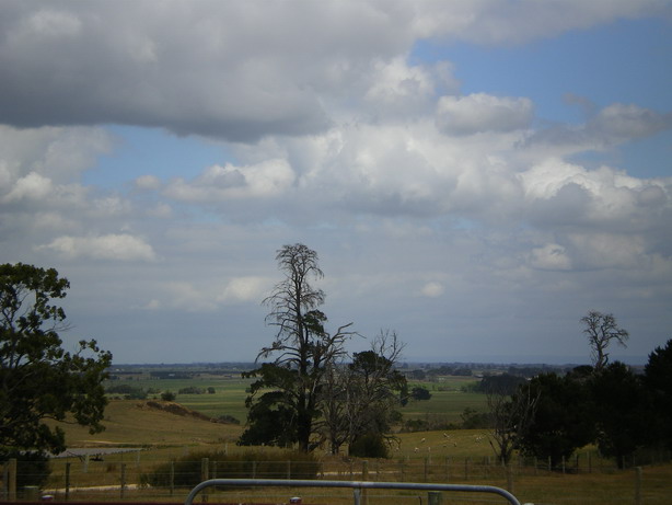Lifestyle Or Rural Interest Property Picture 3