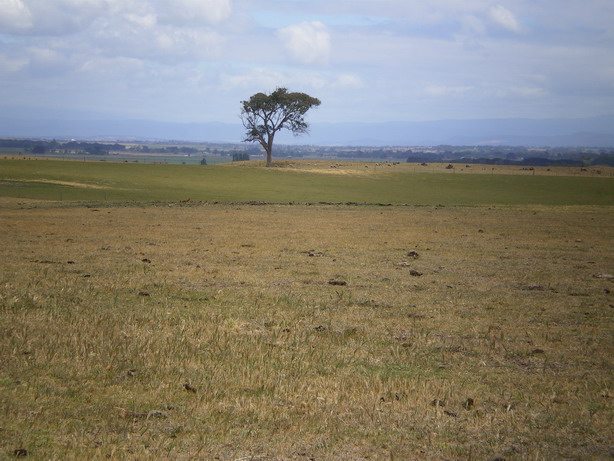 Lifestyle Or Rural Interest Property Picture 1