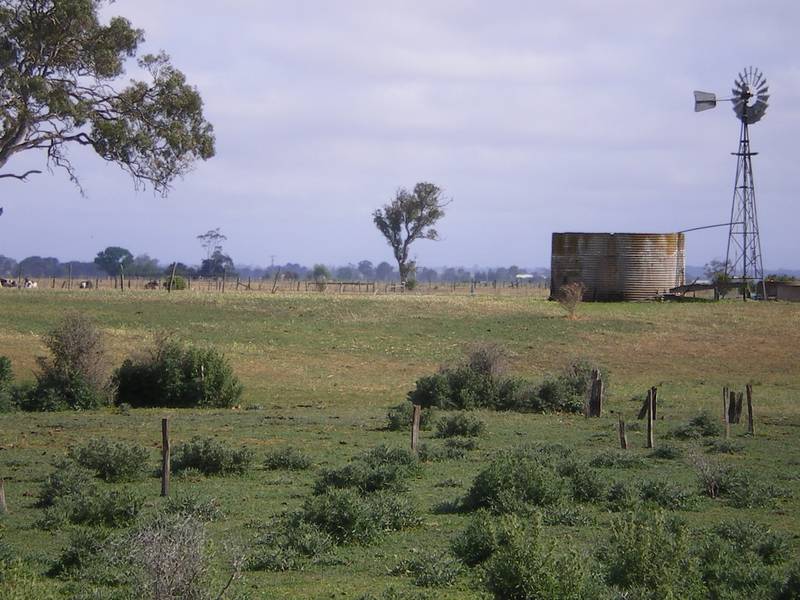 Rural Land Close to Sale Picture 1