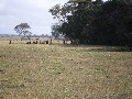 Rural Land Close to Sale Picture
