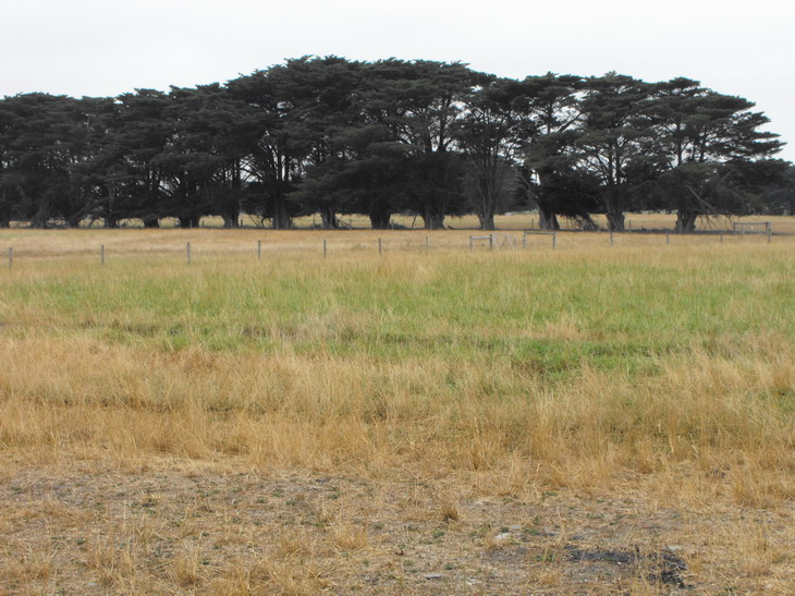 Irrigation Farmlet Picture 3