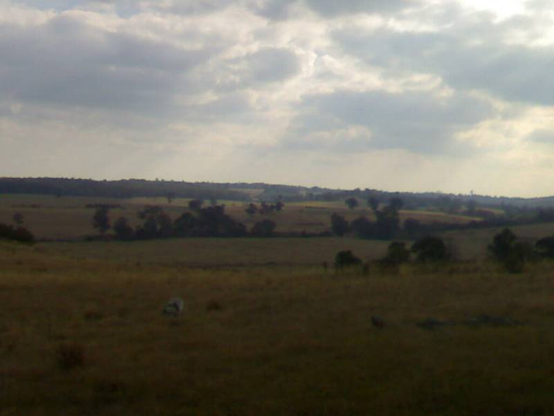 Australian Bush Paradise Picture 2