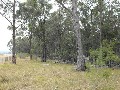 Australian Bush Paradise Picture