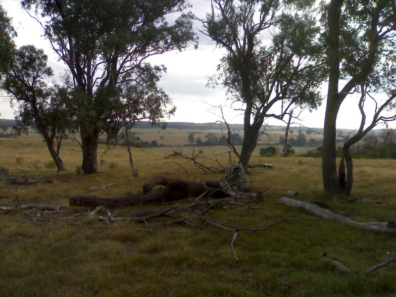 Australian Bush Paradise Picture 1