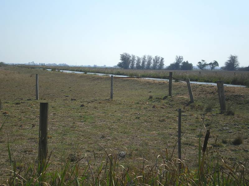 Perfectly Positioned Irrigation Land Picture 3