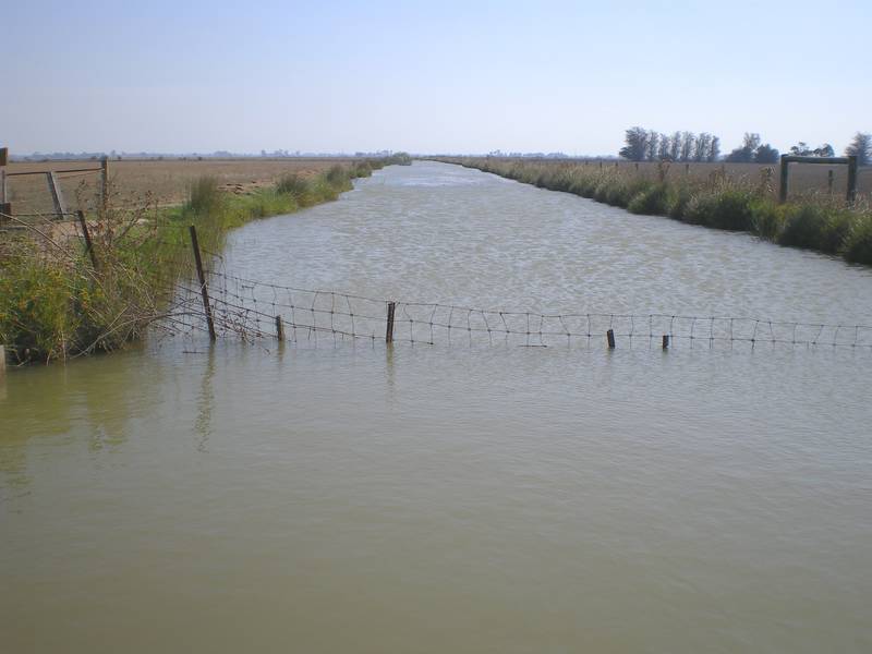 Perfectly Positioned Irrigation Land Picture 1